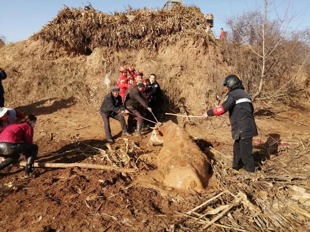 五寨县特殊教育事业单位最新动态与进展速览