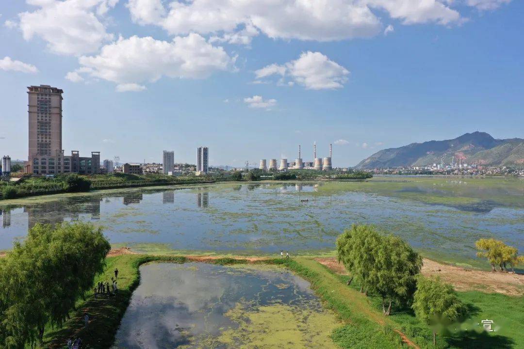 颜单镇天气预报更新通知