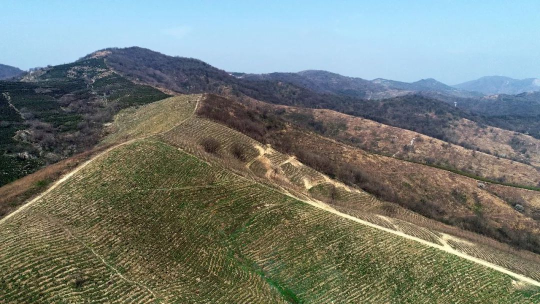 庙岗乡新项目，推动地方发展的强大动力源泉