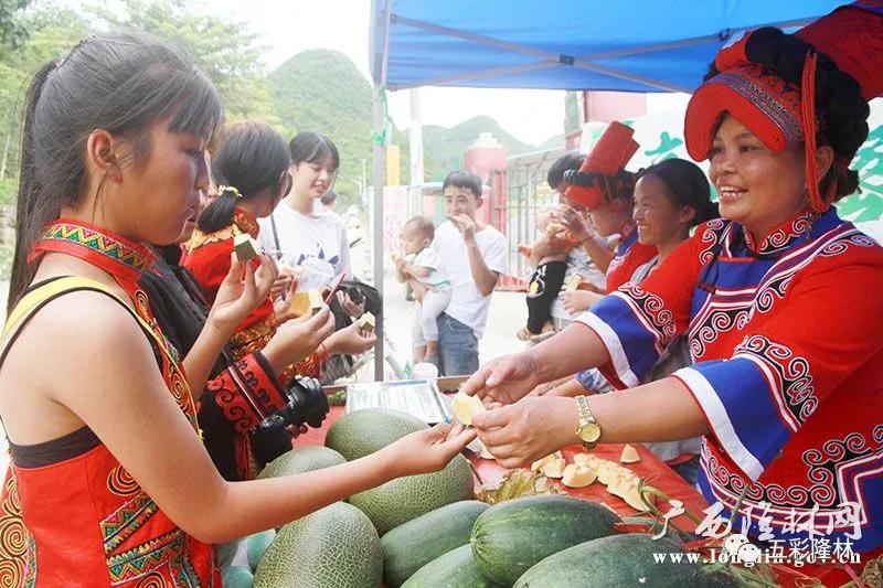 哈密市文化广电体育和旅游局最新发展规划概览