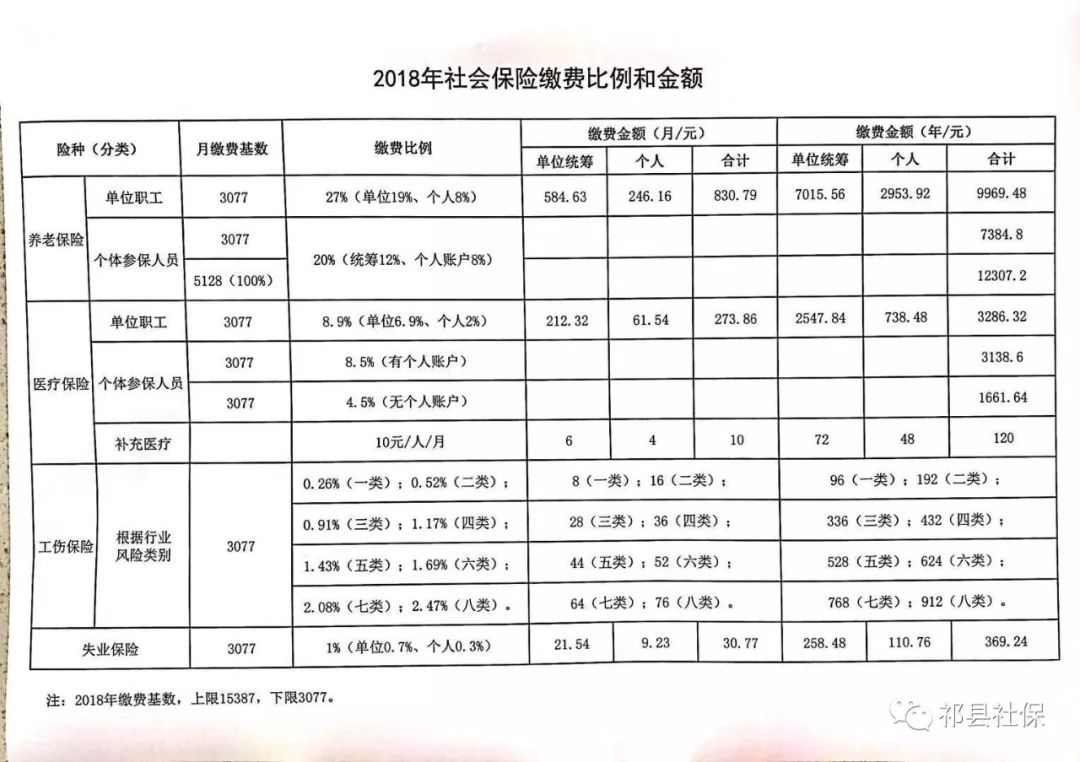 霞山区级托养福利事业单位最新项目，探索与前景展望