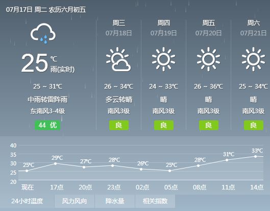 2024年12月24日 第13页