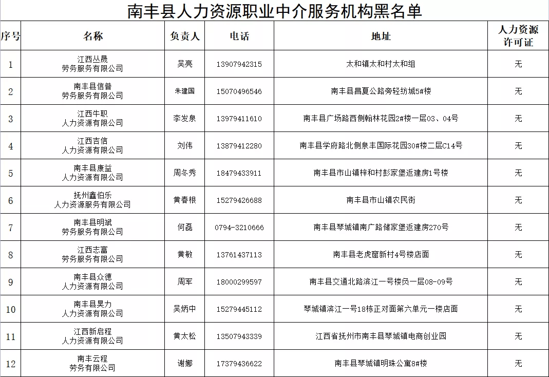 南丰县人力资源和社会保障局发展规划，构建人才强国，助力县域经济高质量发展新篇章